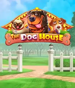 From Pragmatic Play comes The Dog House Slot, bringing you an adorable adventure into the world of playful pups. Enjoy features such as sticky wilds, perfect for delivering entertaining gameplay. A must-try for pet lovers an amusing atmosphere alongside lucrative rewards.